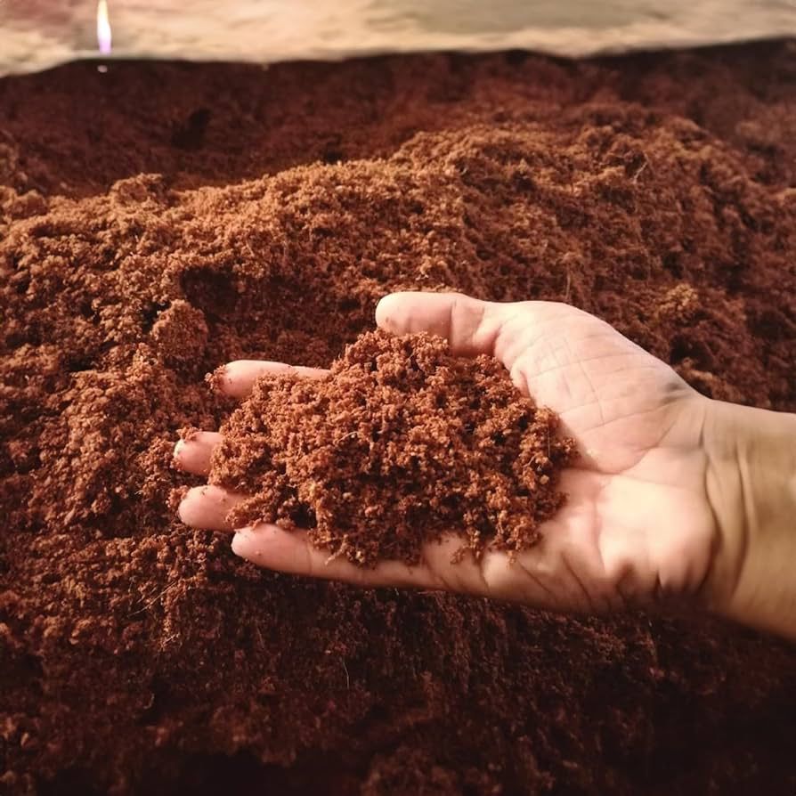 Coco Soil